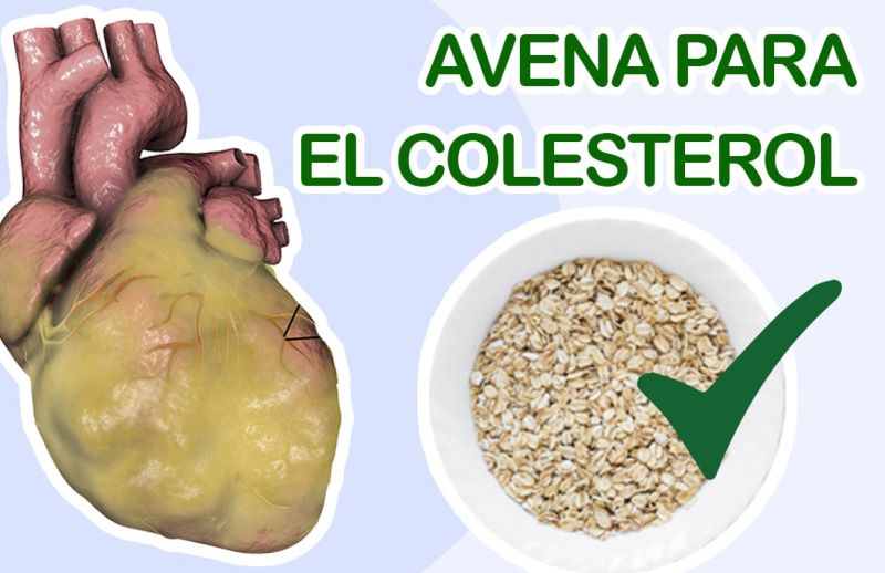 Avena para el Colesterol