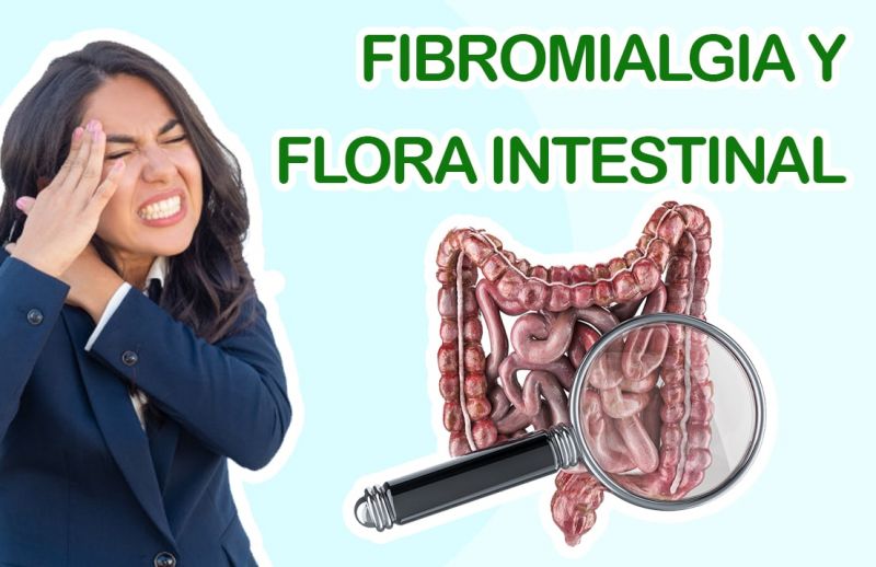 La fibromialgia está relacionada con la Flora Intestinal según Estudios