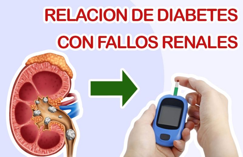 Fallos renales y Diabetes ¿Cuál es la relación?