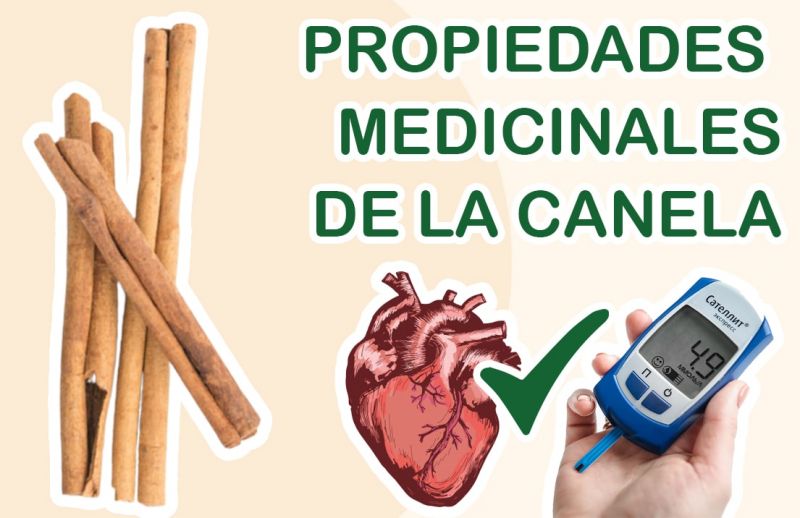 5 Beneficios Medicinales de la Canela