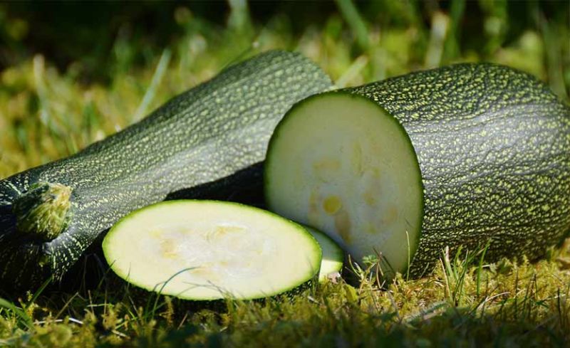Calabacín ( Zuccini ): 10 Propiedades Medicinales y Valor Nutricional