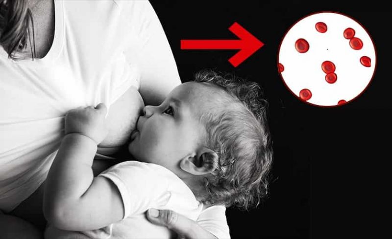 Cómo prevenir la Anemia Materna: Alimentación para una  Lactancia Saludable