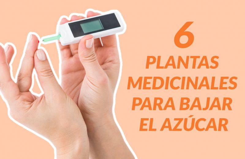 Diabetes Tipo 2: 6 Plantas medicinales para bajar el azúcar